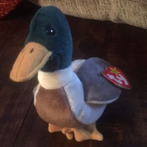 Authentic Jake the Duck Beanie Baby. Tag Errors.